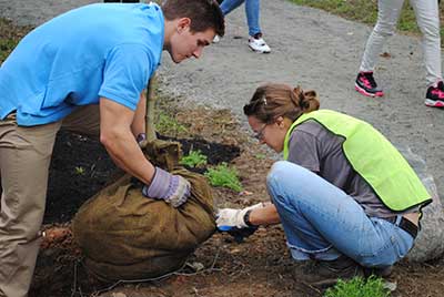 GIC helps community plant trees.