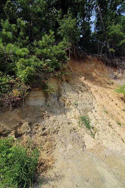 Eroding shorelines caused by storms on the York River, VA.