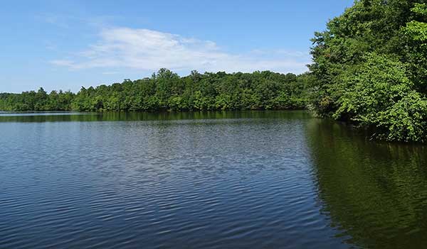 Long Branch Lake