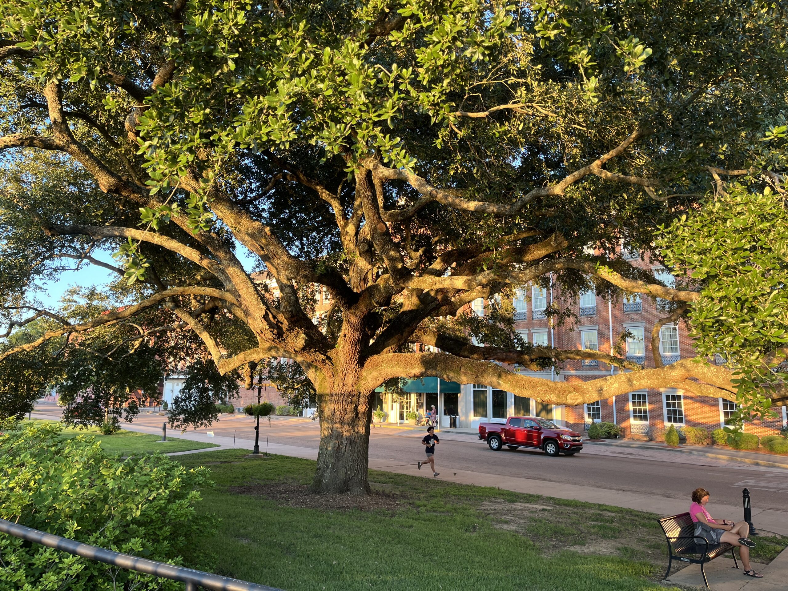 Park in Natchez, Mississippi