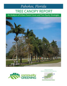 Pahokee, Florida Tree Canopy Report