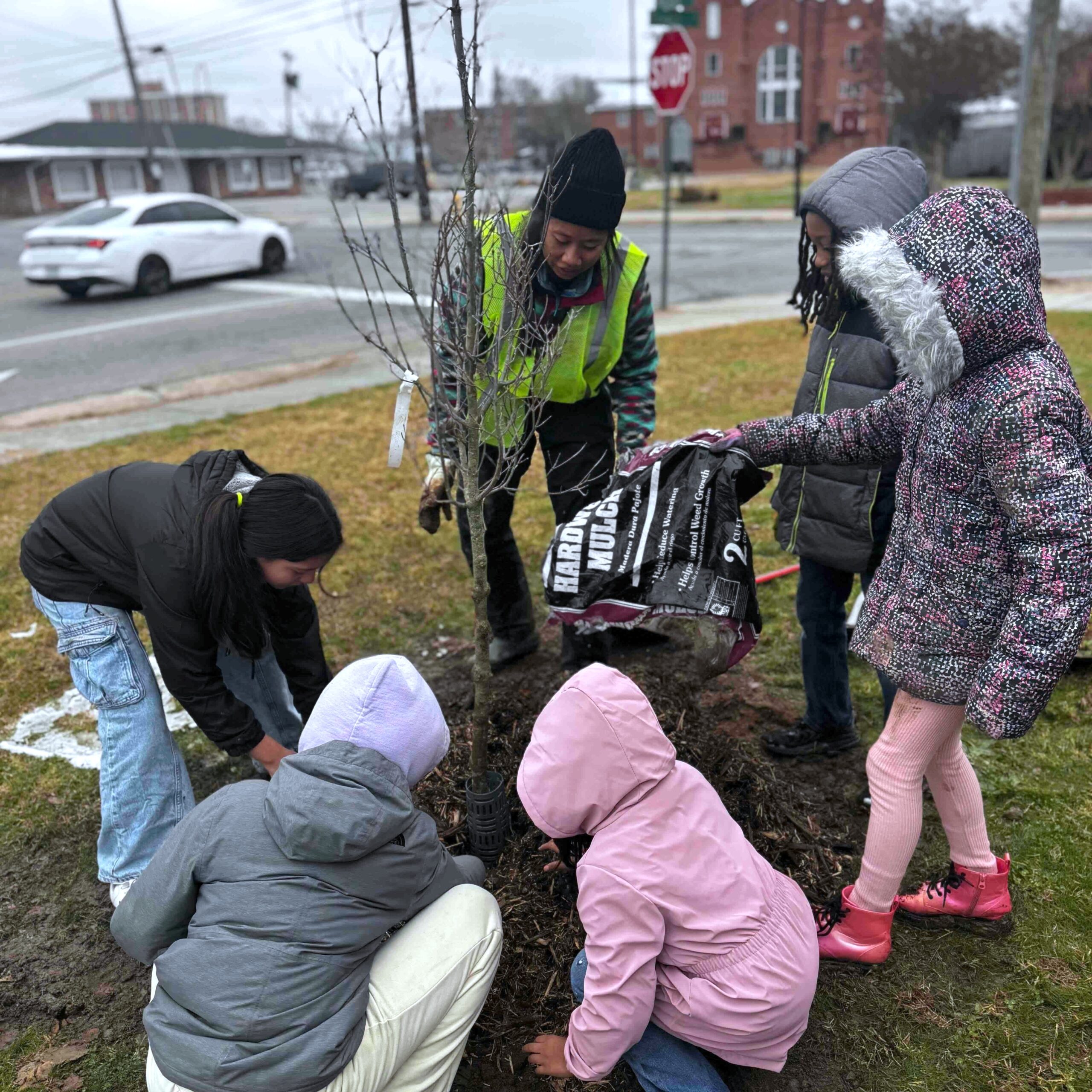 Young community volunteers learn how to plant trees for a healthier, greener Petersburg.