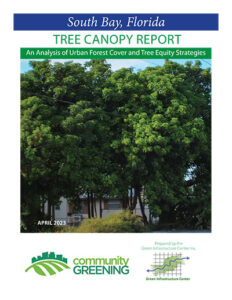 South Bay, Florida Tree Canopy Report