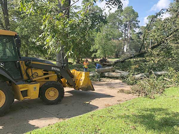 storm damage