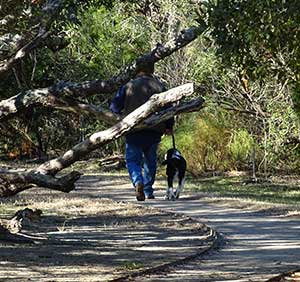 Connected landscape encourages walking