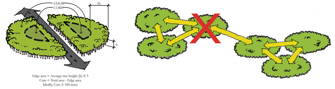 habitat bisected and lost