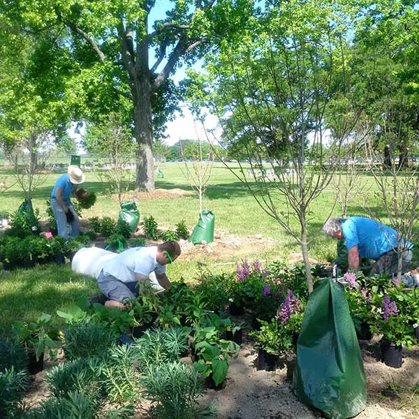 GIC helps plant trees